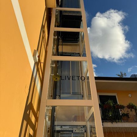 B&B Oliveto Caserta Eksteriør billede