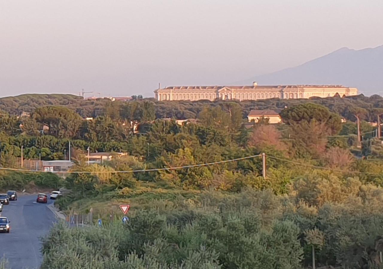 B&B Oliveto Caserta Eksteriør billede